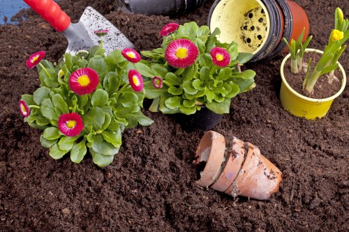 Illustration of accessible Gardeners West Ealing web content