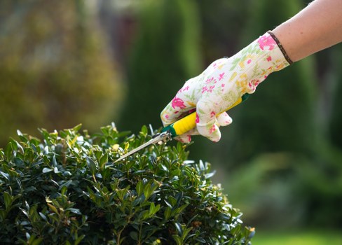 Gardening services in West Ealing for tidy and healthy outdoor spaces