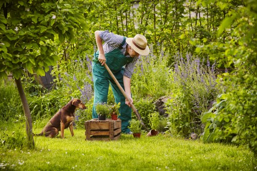 West Ealing gardener improving a local garden in spring