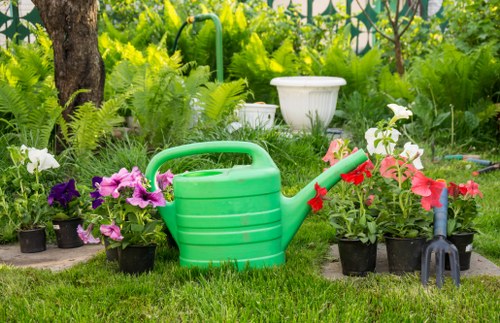 Well-kept garden lawn in West Ealing with fresh grass