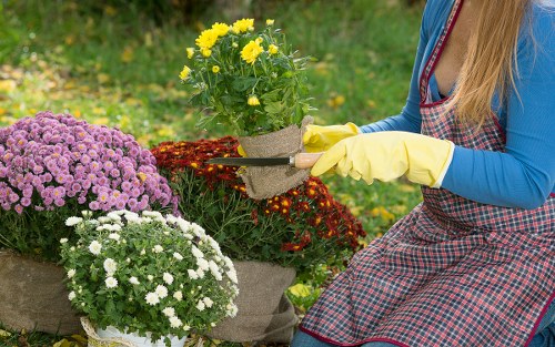 Screen-reader friendly gardening information for West Ealing visitors