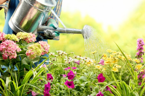 Low-maintenance planting and screening for a West Ealing garden