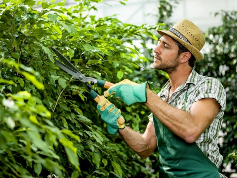 Experienced gardeners in West Ealing working on outdoor spaces