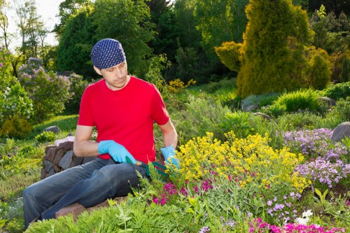 Professional lawn mowing in a local West Ealing home