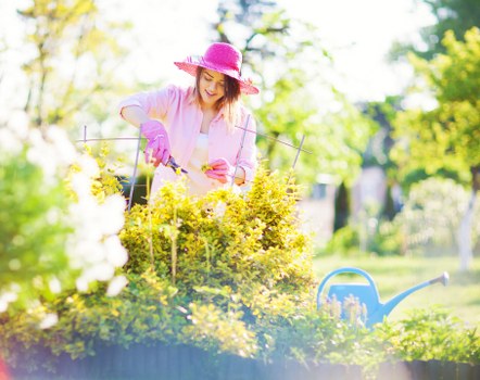 Staff awareness of modern slavery risks in gardening work