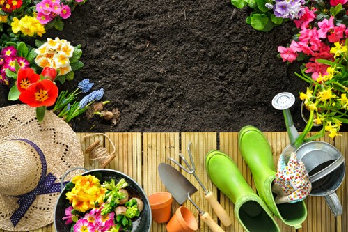 Lawn care and hedge trimming services in West Ealing garden