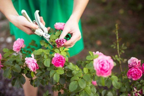 Landscape and planting maintenance by West Ealing gardeners
