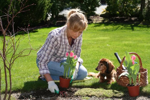 West Ealing garden maintenance with seasonal attention
