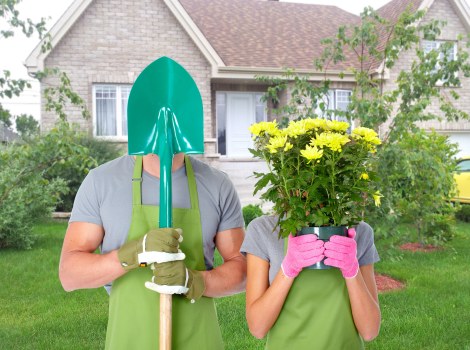 Final review of a gardening complaint process
