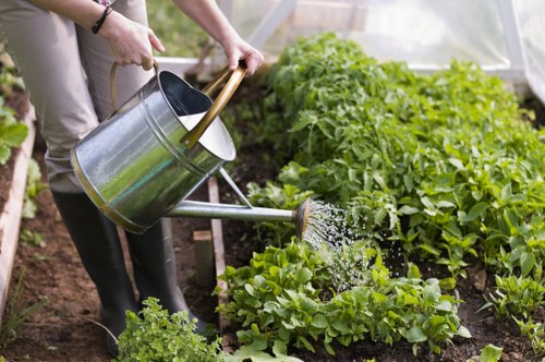 Supplier audit process for West Ealing gardening services