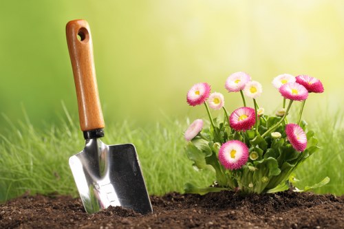 Lawn repair and overseeding in West Ealing