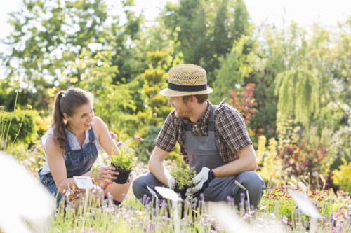 Eco-friendly gardening services in West Ealing with attractive planting
