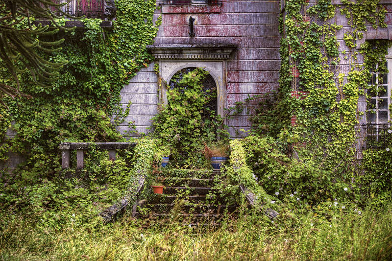 irrigation system garden