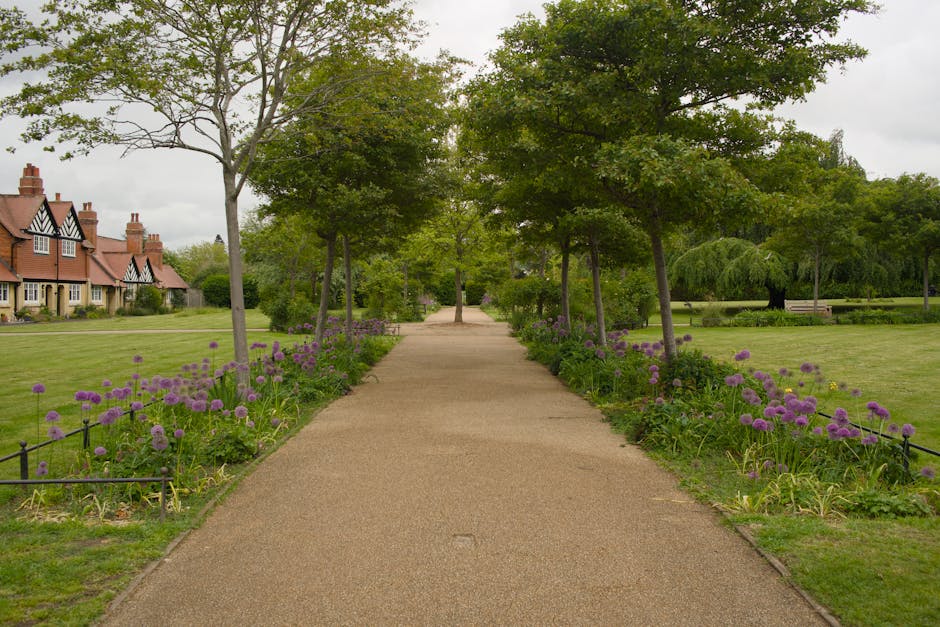 A peaceful park scene featuring a wide, straight gravel pathway lined with small, evenly spaced trees that have lush green leaves. On either side of the path, there are garden beds filled with vibrant