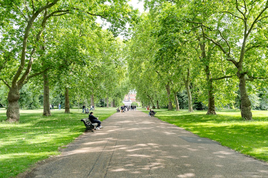 A wide, straight pathway in a lush green park lined with mature deciduous trees with bright green leaves forming a canopy overhead. The pathway is bordered by well-maintained grassy areas and garden b